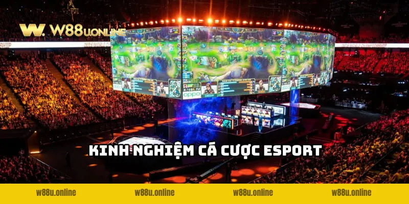 bi kip choi ca cuoc esport w88 khong biet so thua Bí kíp chơi Cá cược Esport W88 không biết sợ thua