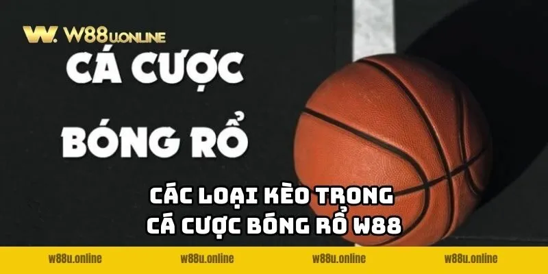 cac loai keo trong ca cuoc bong ro w88 Các loại kèo trong cá cược bóng rổ