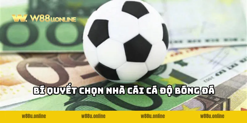 meo chon dung nha cai ca do bong da chat luong Mẹo chọn đúng nhà cái cá độ bóng đá chất lượng