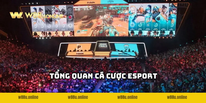 mot so thong tin dang chu y ve ca cuoc esport w88 Một số thông tin đáng chú ý về Cá cược Esport W88