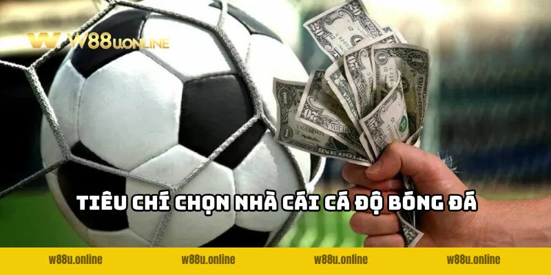 tieu chi lua chon nha cai nao uy tin nhat de ca do bong da Tiêu chí lựa chọn nhà cái nào uy tín nhất để cá độ bóng đá
