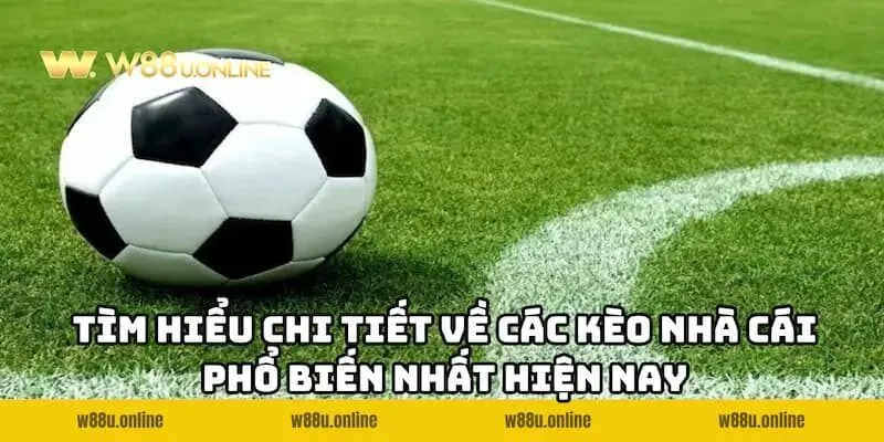 tim hieu chi tiet ve cac keo nha cai pho bien nhat hien nay Tổng hợp chi tiết về các Kèo nhà cái W88 phổ biến nhất hiện nay