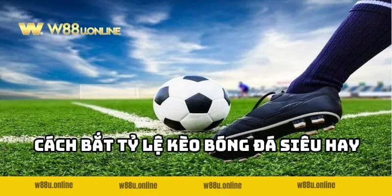 ty le keo bong da cach bat keo Cách bắt Tỷ lệ kèo bóng đá W88 siêu hay cho bạn